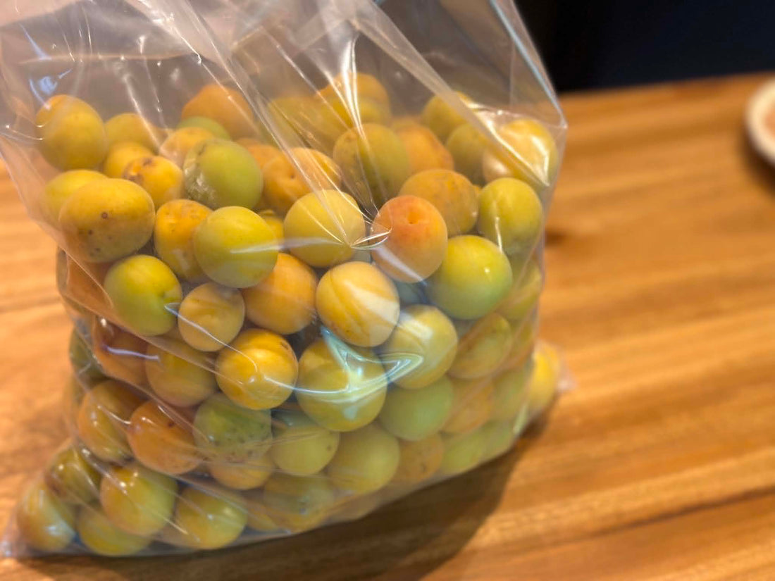 食文化の未来を守る