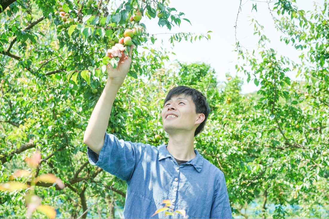 夏を乗り越えるパワーフードをご紹介