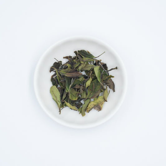 白茶　白山（はくさん） 10ｇ