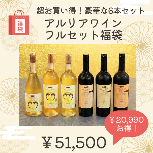 ⑥アルリアワインフルセット福袋~超お買い得!豪華な6本セット~