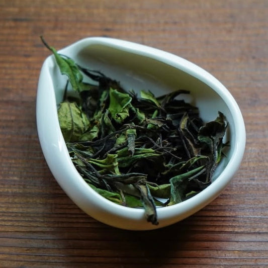 白茶　白山（はくさん） 10ｇ