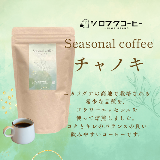 【コーヒー豆】Seasonal Coffee 〝チャノキ〟