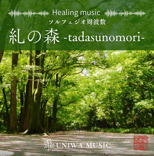 ニューライフサウンドセラピー コンプリートver 周波数音源入りMP3プレーヤー tadasu1.png?v=1732846403&width=300